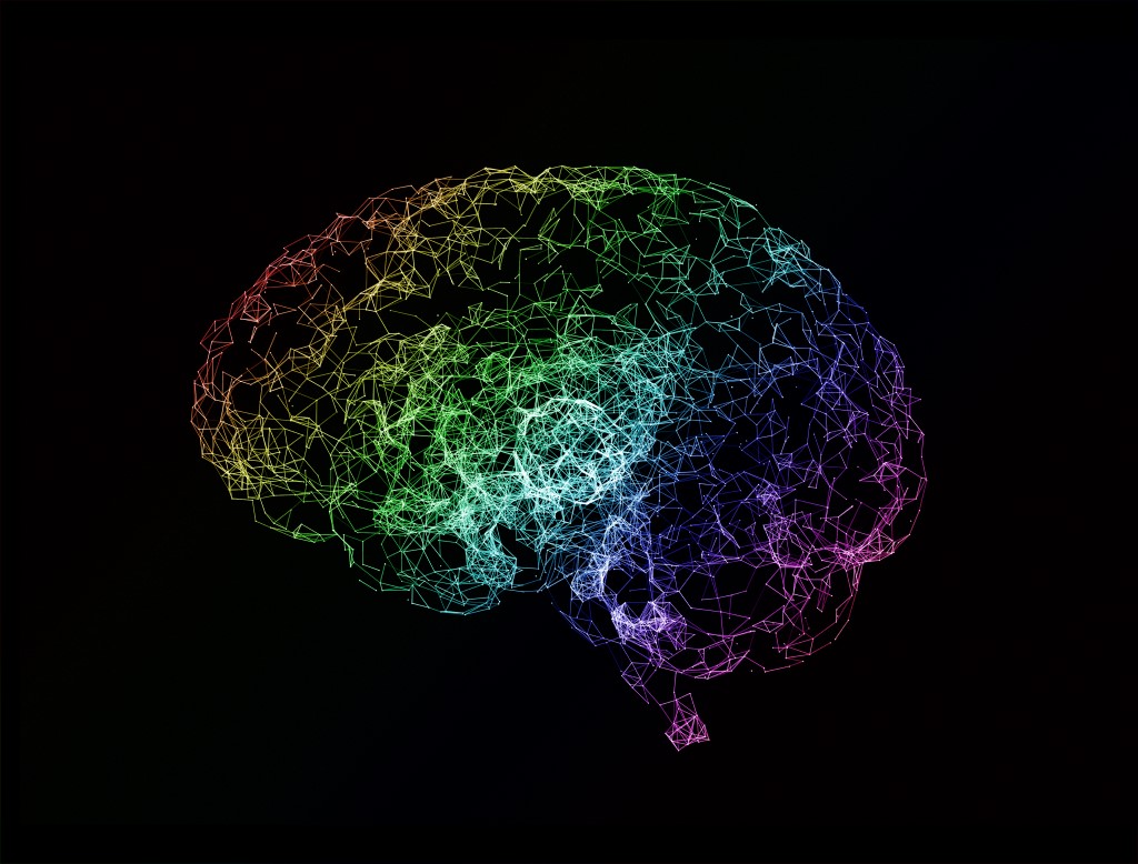digital image of human brain with colorful overlay